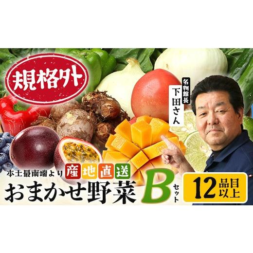ふるさと納税 セット・詰合せ 鹿児島県 南大隅町 規格外 本土最南端から 旬のおまかせ野菜セットB 12品目以上 NI-6| 旬 野菜 やさい 果物 くだもの 産地直送…