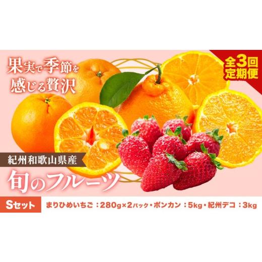 ふるさと納税 果物の詰合せ 和歌山県 日高町 発送月固定定期便 紀州和歌山県産 旬のフルーツ (いちご・ポンカン・紀州デコ) 全3回 Sセット 魚鶴商店[1月上旬…