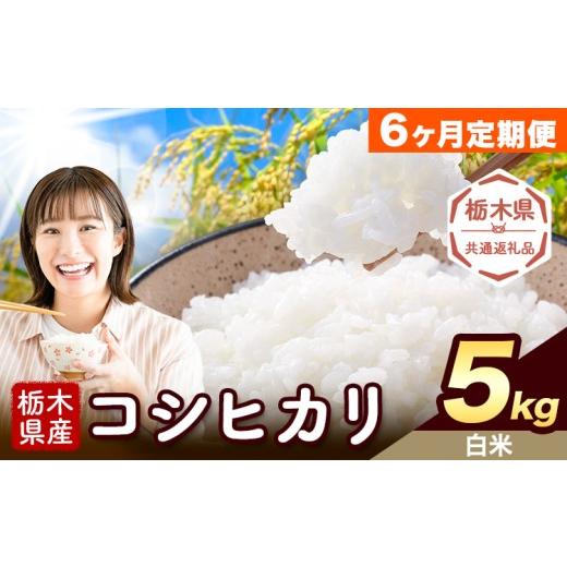 ふるさと納税 米 コシヒカリ 栃木県 野木町 6ヶ月定期便 米 栃木県産 コシヒカリ 白米 5kg[お申込み翌月から出荷]栃木県 野木町 米 白米 精米 国産 お米 お…