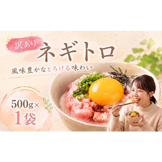 ふるさと納税 マグロ 高知県 安芸市 ネギトロ 500g×1袋 |まぐろ 鮪 ネギトロ ねぎとろ 訳あり まぐろたたき まぐろのたたき マグロたたき ネギとろ ねぎトロ…