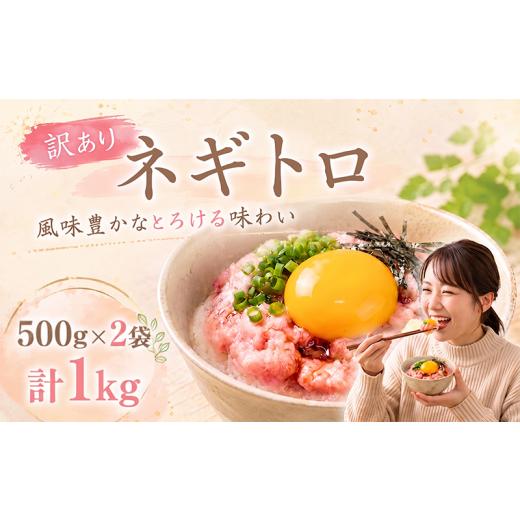 ふるさと納税 マグロ 高知県 安芸市 ネギトロ 500g×2袋 計1kg |まぐろ 鮪 ネギトロ ねぎとろ 訳あり まぐろたたき まぐろのたたき マグロたたき ネギとろ ね…