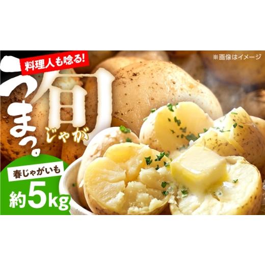 ふるさと納税 野菜類 じゃがいも 長崎県 南島原市 じゃがいも 約5kg 馬鈴薯 春じゃが / ジャガイモ ばれいしょ 野菜 やさい 芋 / 南島原市 / 株式会社松尾…