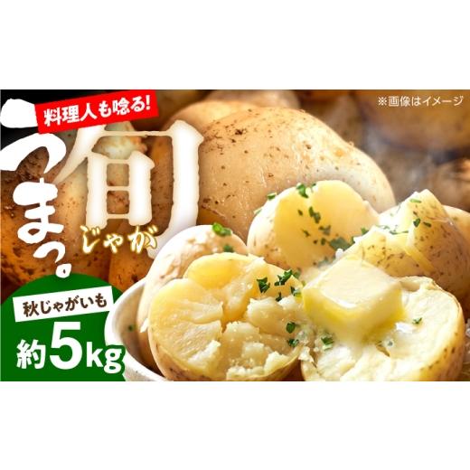 ふるさと納税 野菜類 じゃがいも 長崎県 南島原市 じゃがいも 約5kg 馬鈴薯 秋じゃが / ジャガイモ ばれいしょ 野菜 やさい 芋 / 南島原市 / 株式会社松尾…