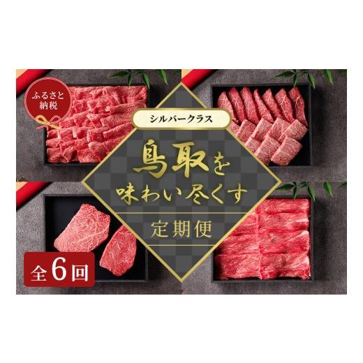 ふるさと納税 牛肉 焼肉・バーベキュー 鳥取県 米子市 和牛セレブ(鳥取和牛定期便:6回) シルバークラス