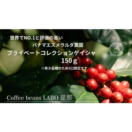 ふるさと納税 コーヒー コーヒー豆 岐阜県 大垣市 パナマエスメラルダ農園 プライベートコレクションゲイシャ 150g 単品