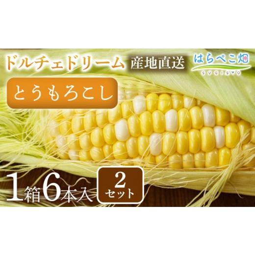 ふるさと納税 とうもろこし 愛知県 西尾市 とうもろこし『ドルチェドリーム』(6本入/1箱)2セット・H124 12本/19,000円