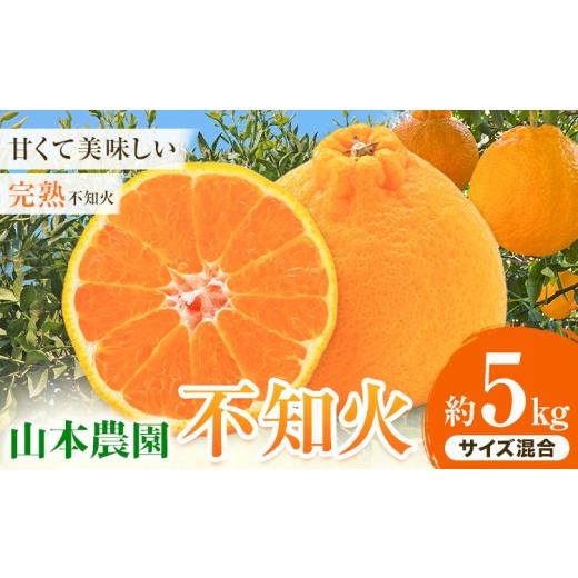 ふるさと納税 みかん・柑橘類 和歌山県 日高川町 不知火 約5kg (サイズ混合) 山本農園[2027年3月上旬-4月下旬頃出荷]和歌山県 日高川町 柑橘 フルーツ 果物 …