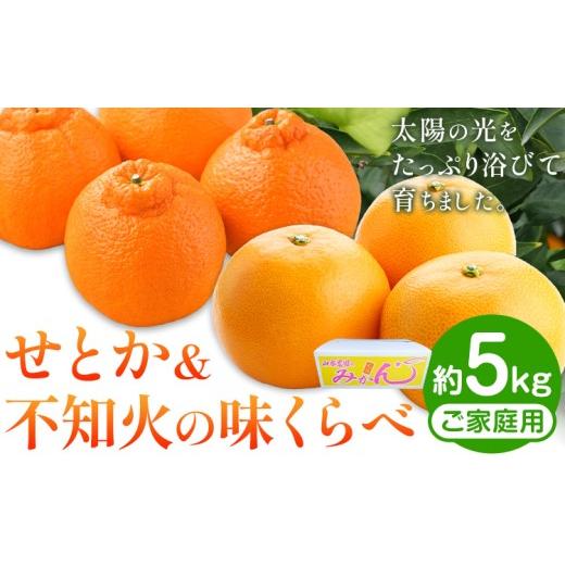 ふるさと納税 みかん・柑橘類 和歌山県 日高川町 せとか &amp; 不知火 の 味くらべ 約5kg 家庭用 山本農園[2027年3月上旬-4月中旬頃出荷]和歌山県 日高川町 …