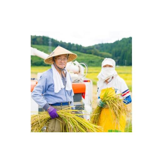 ふるさと納税 米 コシヒカリ 新潟県 関川村 先行予約 R8年産 岩船産こしひかり 精米5kg ふっくら美味しい 横山農産 1737353