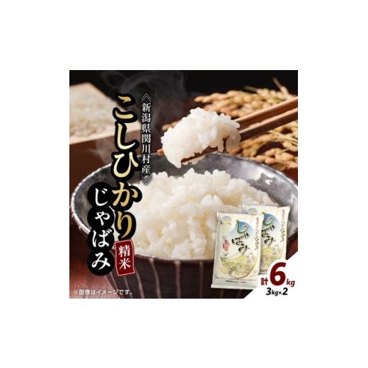 ふるさと納税 米 コシヒカリ 新潟県 関川村 先行予約 R8年産 関川村産コシヒカリ6kg(3kg×2)丁寧に育てた贅沢米精米 山口ファーム 1737887