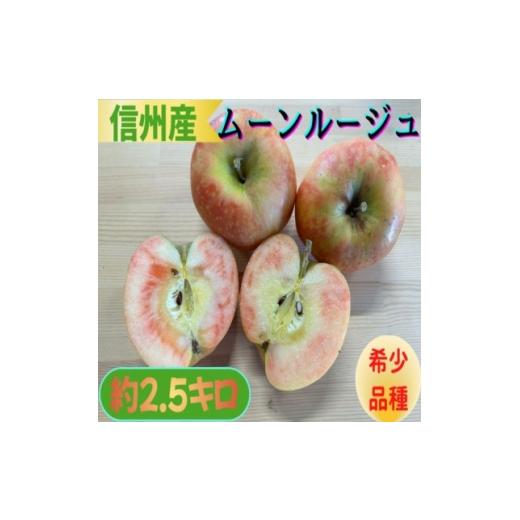 ふるさと納税 りんご 長野県 南箕輪村 信州産赤果肉『ムーンルージュ』約2.5kg 1710848