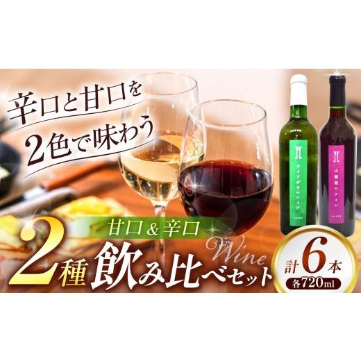 ふるさと納税 ワイン セット 長野県 伊那市 ワイン 伊那ワイン工房 ワイン 6本 セット( ナイアガラ と 山葡萄 のワイン)|ワイン 赤ワイン 白ワイン 辛口ワ…