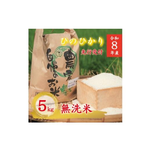 ふるさと納税 無洗米 京都府 久御山町 令和8年産米 無洗米 先行受付 京都府久御山町産 一等米のお米 ヒノヒカリ 5kg 1733868