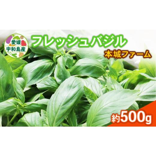 ふるさと納税 野菜類 ハーブ 愛媛県 宇和島市 フレッシュ バジル 500g 本城ファーム ハーブ 生バジル ばじる はーぶ 香草 水耕栽培 野菜 やさい 美味しい 新鮮…