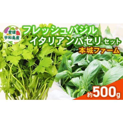 ふるさと納税 野菜類 ハーブ 愛媛県 宇和島市 フレッシュ バジル イタリアンパセリ セット 計500g 本城ファーム ハーブ 生バジル 生パセリ パセリ ばじる はー…