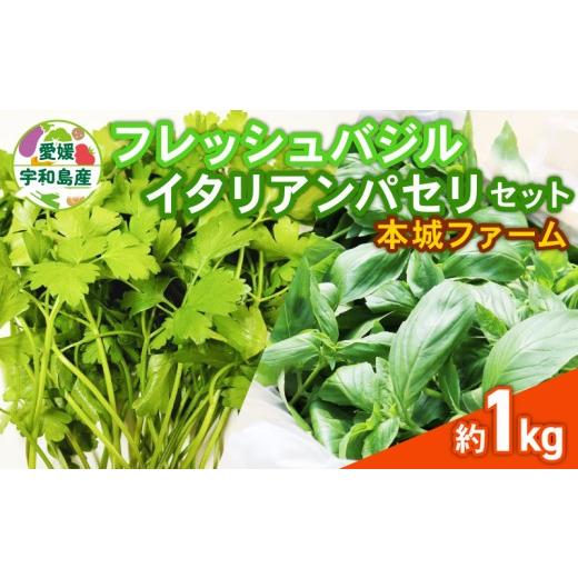 ふるさと納税 野菜類 愛媛県 宇和島市 フレッシュ バジル イタリアンパセリ セット 計1kg 本城ファーム ハーブ 生バジル 生パセリ パセリ ばじる はーぶ 香草 …