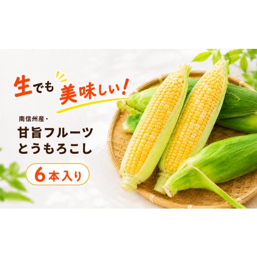 ふるさと納税 とうもろこし 長野県 飯田市 生でも美味しい 南信州産 ・ 甘旨 フルーツとうもろこし 6本 2026年8月上旬〜発送 | テトテ農園 とうもろこし トウ…