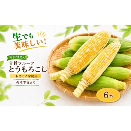 ふるさと納税 とうもろこし 長野県 飯田市 訳ありご家庭用 生でも美味しい 南信州産 ・ 甘旨 フルーツとうもろこし 6本 2026年7月中旬〜発送 | テトテ農園 と…