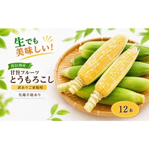 ふるさと納税 とうもろこし 長野県 飯田市 訳ありご家庭用 生でも美味しい 南信州産 ・ 甘旨フルーツ とうもろこし 12本 2026年7月中旬〜発送 | テトテ農園 …