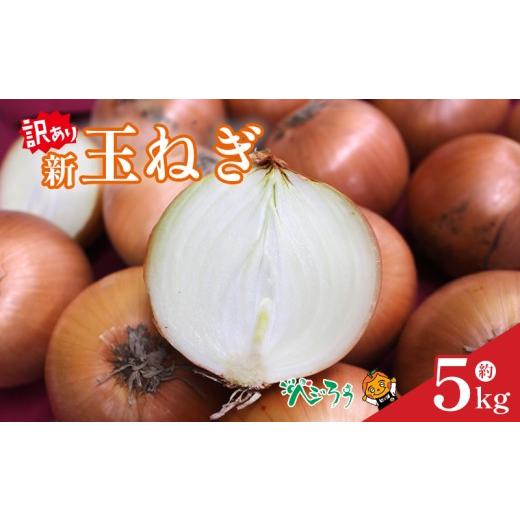 ふるさと納税 野菜類 玉ねぎ 愛媛県 松山市 訳あり 新玉ねぎ 約5kg 4月上旬頃〜6月下旬頃発送予定 | 新玉 新玉ねぎ 野菜 新玉葱 たまねぎ タマネギ 玉ねぎ 玉…