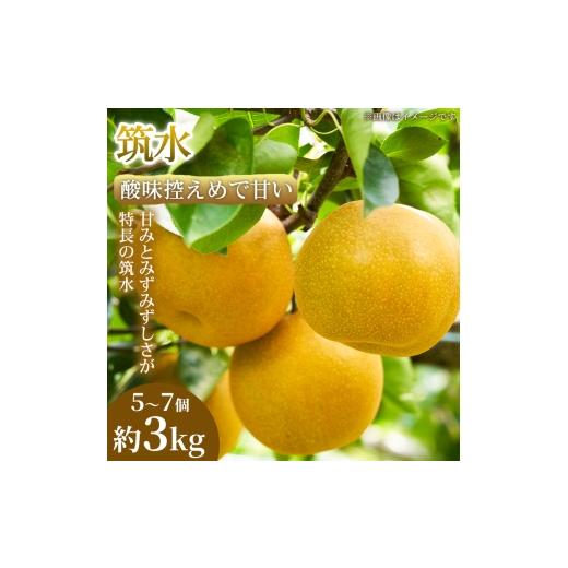 ふるさと納税 梨 熊本県 錦町 酸味控えめで甘い 果汁あふれる熊本県産 筑水 5〜7個(約3kg) 1箱 筑水 梨 フルーツ 甘い 濃厚 農家直送 ギフト 贈答用 家庭用 …