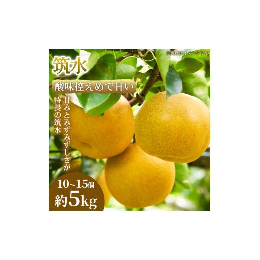 ふるさと納税 梨 熊本県 錦町 酸味控えめで甘い 果汁あふれる熊本県産 筑水 10〜15個(約5kg) 1箱 筑水 梨 フルーツ 甘い 濃厚 農家直送 ギフト 贈答用 家庭用…