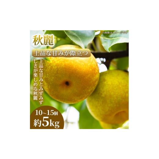 ふるさと納税 梨 熊本県 錦町 上品な甘みが際立つ 熊本県産 秋麗 10〜15個(約5kg) 1箱 秋麗 梨 フルーツ 甘い 濃厚 農家直送 ギフト 贈答用 家庭用 お取り寄…