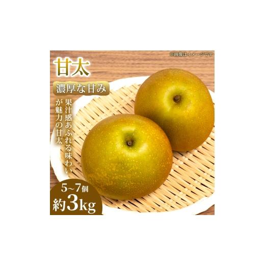 ふるさと納税 梨 熊本県 錦町 濃厚な甘み やわらか果肉の甘太 5〜7個(約3kg) 1箱 甘太 梨 フルーツ 甘い 濃厚 農家直送 ギフト 贈答用 家庭用 お取り寄せ 熊…