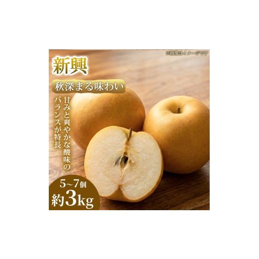 ふるさと納税 梨 熊本県 錦町 秋深まる味わい 熊本県産 新興 5〜7個(約3kg) 1箱 新興 梨 フルーツ 甘い 濃厚 農家直送 ギフト 贈答用 家庭用 お取り寄せ 熊本…