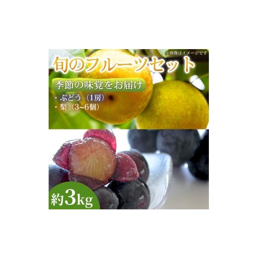 ふるさと納税 梨 熊本県 錦町 季節の味覚をお届け 熊本県産 フルーツ詰合せ ぶどう(1房)・梨(3〜6個)約3kg×1セット ぶどう 梨 フルーツ 詰め合わせ 食べ比べ…
