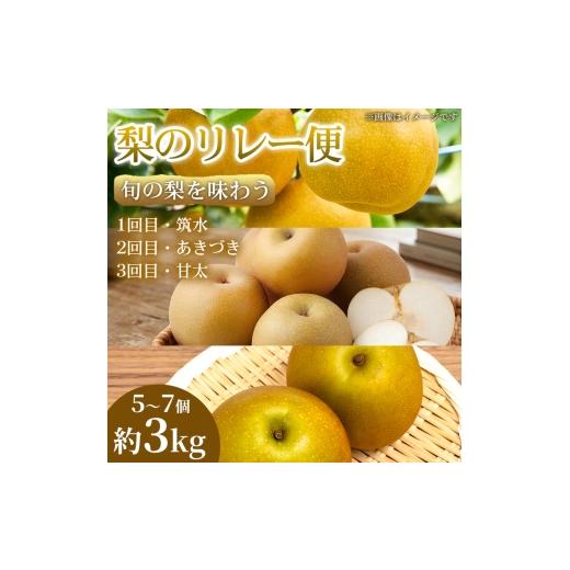 ふるさと納税 梨 熊本県 錦町 旬の梨を味わう 熊本県産 リレー便 (各5〜7個 )(約3kg)(1回目)筑水(2回目)あきづき(3回目)甘太 梨 フルーツ 詰め合わせ 食べ比…