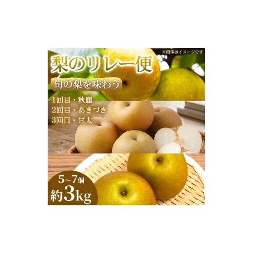 ふるさと納税 梨 熊本県 錦町 旬の梨を味わう 熊本県産 リレー便 (各5〜7個)(約3kg)(1回目)秋麗(2回目)あきづき(3回目)甘太 梨 フルーツ 詰め合わせ 食べ比べ…