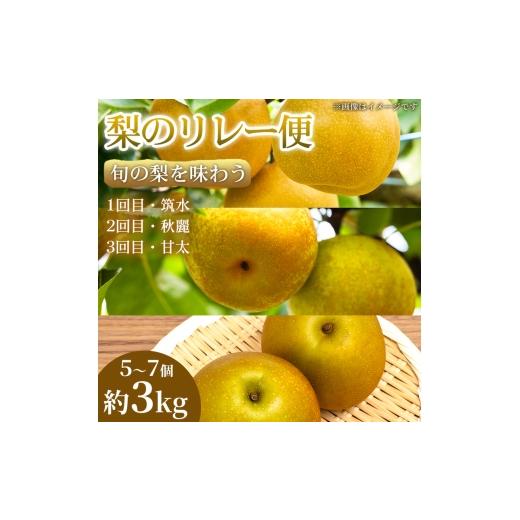 ふるさと納税 梨 熊本県 錦町 旬の梨を味わう 熊本県産 リレー便(各5〜7個)(約3kg)(1回目)筑水(2回目)秋麗(3回目)甘太 梨 フルーツ 詰め合わせ 食べ比べ 甘い…