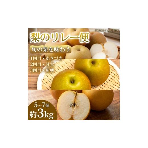 ふるさと納税 梨 熊本県 錦町 旬の梨を味わう 熊本県産 リレー便(各5〜7個)(約3kg)(1回目)あきづき(2回目)甘太(3回目)新興 梨 フルーツ 詰め合わせ 食べ比べ …