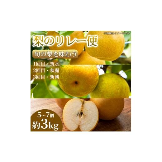 ふるさと納税 梨 熊本県 錦町 旬の梨を味わう 熊本県産 リレー便(各5〜7個 )(約3kg)(1回目)筑水(2回目)秋麗(3回目)新興 梨 フルーツ 詰め合わせ 食べ比べ 甘…