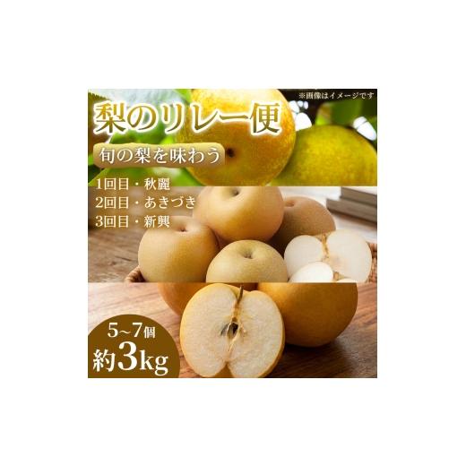 ふるさと納税 梨 熊本県 錦町 旬の梨を味わう 熊本県産 リレー便(各5〜7個 )(約3kg)(1回目)秋麗(2回目)あきづき(3回目)新興 梨 フルーツ 詰め合わせ 食べ比べ…
