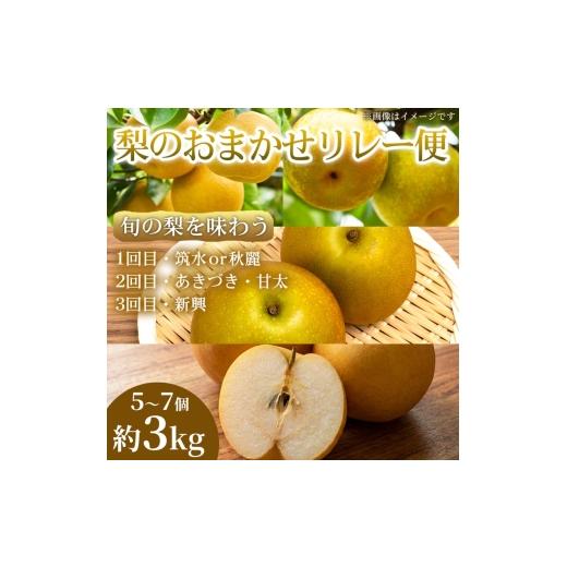 ふるさと納税 梨 熊本県 錦町 旬の梨を味わう 熊本県産 おまかせリレー便(計5〜7個)(約3kg)(1回目)筑水または秋麗(2回目)あきづき・甘太(3回目)新興 梨 フル…