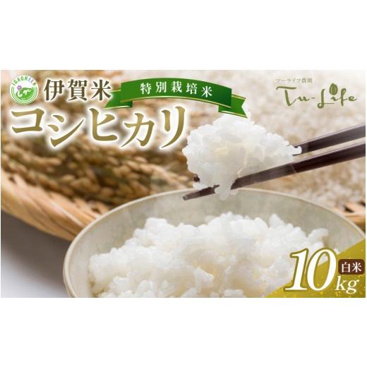 ふるさと納税 米 コシヒカリ 三重県 伊賀市 伊賀産 コシヒカリ(白米)10kg