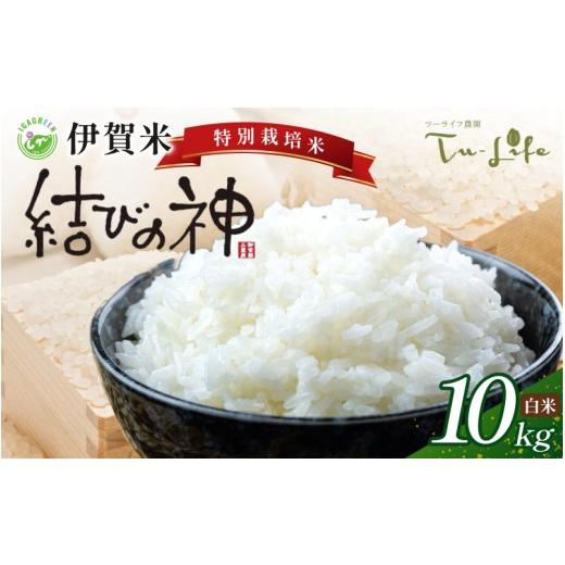 ふるさと納税 米 三重県 伊賀市 特別栽培米・伊賀米結びの神 10kg