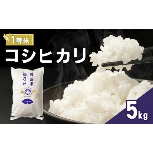 ふるさと納税 米 コシヒカリ 福井県 若狭町 令和7年産 コシヒカリ 5kg(一等米・神谷農園) 米 お米 こしひかり 若狭町  