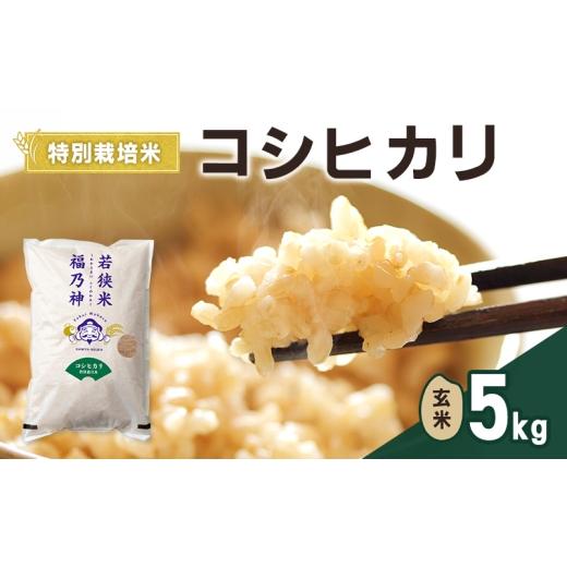 ふるさと納税 米 コシヒカリ 福井県 若狭町 令和7年産 特別栽培米 コシヒカリ 5kg(玄米) 米 お米 こしひかり 若狭町  