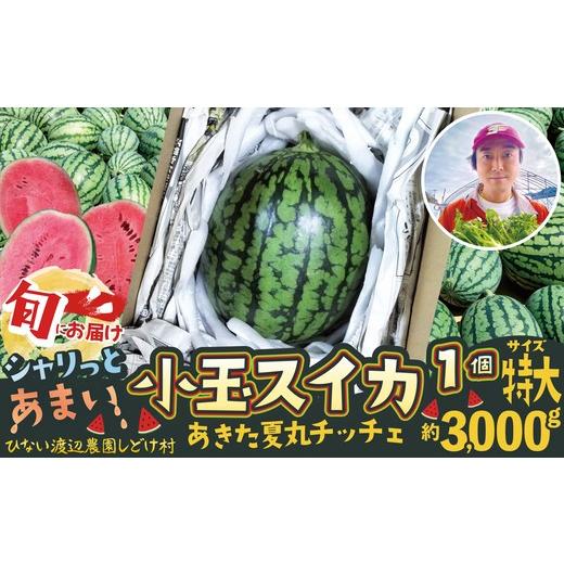 ふるさと納税 スイカ 秋田県 大館市 シャリっと甘い小玉スイカ あきた夏丸チッチェ 特大1個 / 東北 秋田 大館 野菜 新鮮 農産物 農家 果物 すいか …