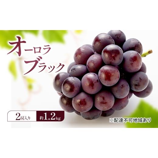 ふるさと納税 果物類 ぶどう 岡山県 赤磐市 ぶどう 2026年 先行予約 オーロラブラック (2房) 約1.2kg 岡山県 赤磐市 ブドウ 葡萄 果物 フルーツ