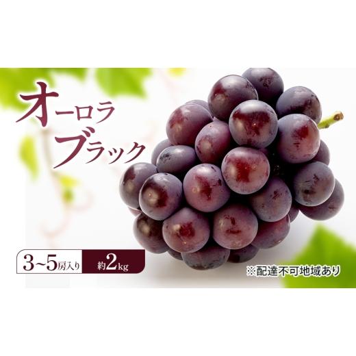 ふるさと納税 果物類 ぶどう 岡山県 赤磐市 ぶどう 2026年 先行予約 オーロラブラック (3〜5房) 約2kg 岡山県 赤磐市 ブドウ 葡萄 果物 フルーツ