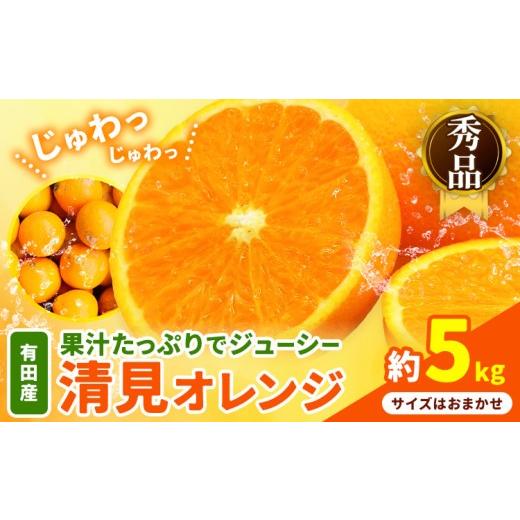 ふるさと納税 みかん・柑橘類 オレンジ 和歌山県 日高町 産直 有田産 清見オレンジ 秀品 約5kg サイズおまかせ 日高町厳選館[3月上旬-3月末頃出荷]和歌山県…