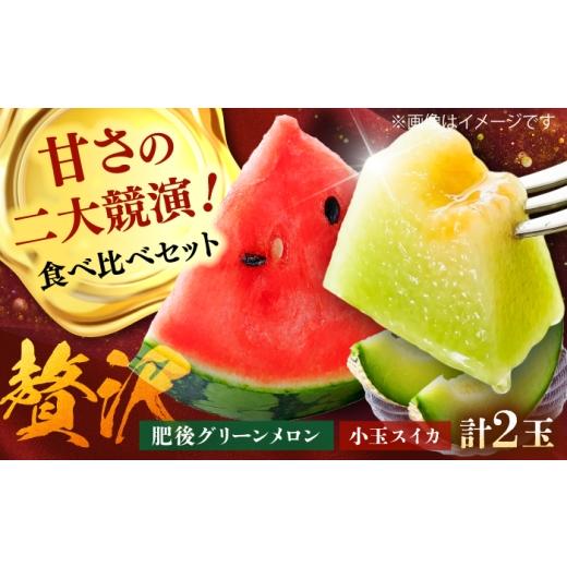 ふるさと納税 メロン メロン青肉 熊本県 菊陽町 先行予約 2026年5月上旬より順次発送 肥後グリーンメロン 小玉スイカ 各1玉(計2玉)/ メロン 西瓜 すいか …