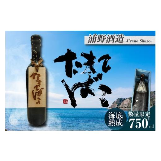 ふるさと納税 日本酒 純米酒 愛知県 常滑市 テレビで紹介 伊勢湾竜宮熟成酒「たまてばこ」 浦野酒造 │天然熟成酒 日本酒 玄米使用 お酒 アルコール 贅沢 純…