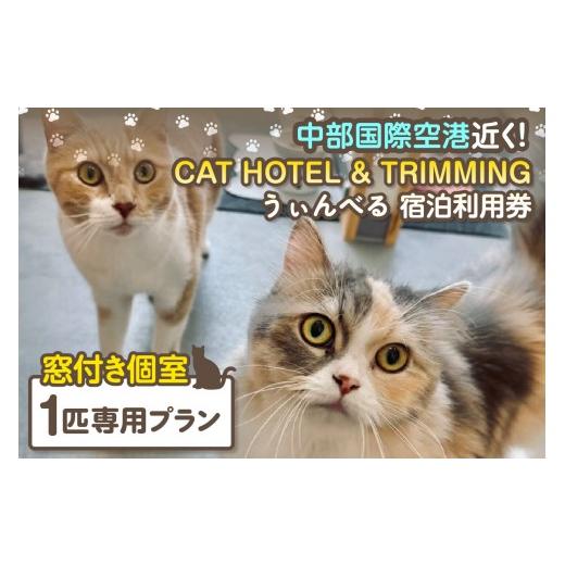 ふるさと納税 宿泊券 ホテル 愛知県 常滑市 CAT HOTEL &amp; TRIMMING うぃんべる 宿泊利用券 1匹専用プラン│ペットホテル ペットと泊まれる 宿泊券 猫 キ…