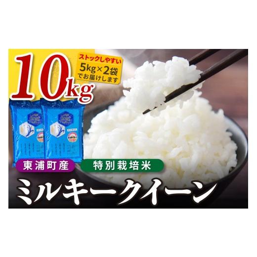 ふるさと納税 米 ミルキークイーン 愛知県 東浦町 東浦町産 ミルキークイーン 10kg(5kg×2袋)|米 新米 おこめ コメ 精米 ミルキークイーン ミルキークィー…