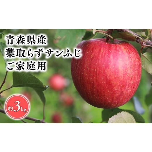 ふるさと納税 りんご 青森県 平川市 2026年5〜6月発送 訳あり 家庭用葉とらずサンふじ3kg そと川りんご園 <hi-0053-084>